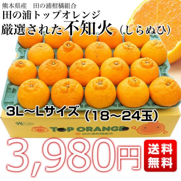 熊本県産 田の浦柑橘組合 トップオレンジ 不知火(しらぬひ) 3LからLサイズ 5キロ (18玉から24玉) 送料無料 しらぬい 柑橘 オレンジ 市場スポット03