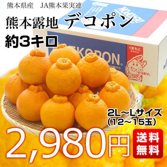 送料無料　熊本県産　JA熊本果実連　露地栽培デコポン　２LからLサイズ　3キロ　（12から15玉）柑橘　オレンジ　市場スポット03