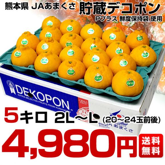 送料無料　熊本県から産地直送　JAあまくさ　貯蔵デコポン　2LからL　5キロ（20玉から24玉） Pプラス鮮度保持袋入り03
