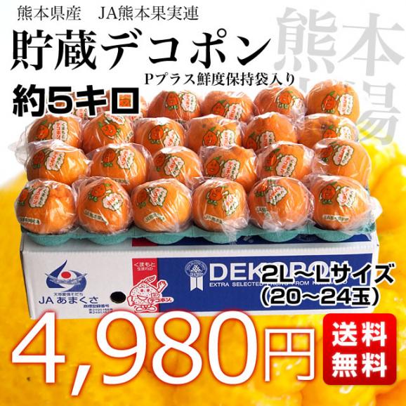 送料無料　熊本県産　JA熊本果実連　貯蔵デコポン　2LからL　5キロ（20玉から24玉） Pプラス鮮度保持袋入り　市場スポット03