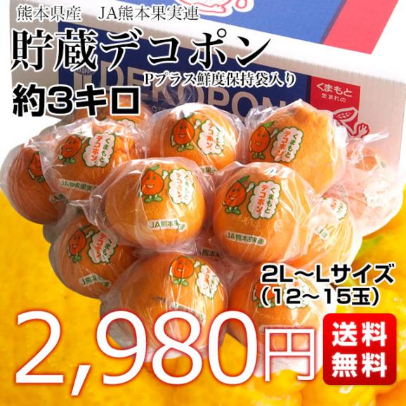 送料無料　熊本県産　JA熊本果実連　貯蔵デコポン　2LからL　3キロ（12玉から15玉） Pプラス鮮度保持袋入り　市場スポット03