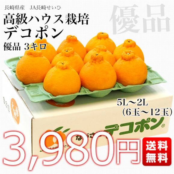 長崎県より産地直送 JA長崎せいひ ハウス栽培デコポン 優品  ５Ｌから２Ｌサイズ 3キロ (6玉から12玉) 送料無料  柑橘 かんきつ 2月発送商品03