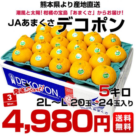 熊本県から産地直送 JAあまくさ デコポン 2LからLサイズ 5キロ(20玉から24玉前後)  でこぽん しらぬひ 不知火 天草 送料無料 3月以降発送品03