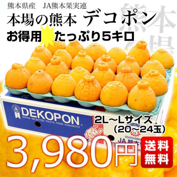 熊本県産　JA熊本果実連　本場の熊本デコポン お得用 5キロ ２LからLサイズ (20玉から24玉) 送料無料 でこぽん デコぽん JAあしきた他 市場発送03