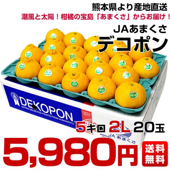 熊本県から産地直送 JAあまくさ デコポン 2L 5キロ (20玉) 送料無料 でこぽん しらぬひ 不知火 天草03