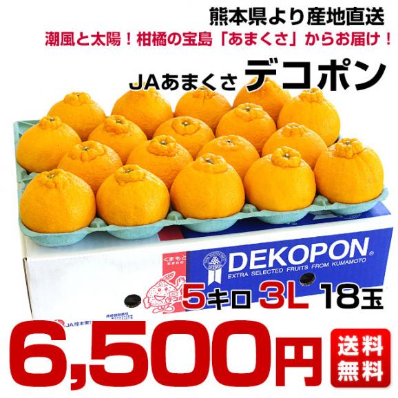 熊本県から産地直送 JAあまくさ デコポン ３L 5キロ (18玉) でこぽん しらぬひ 不知火 天草 送料無料03