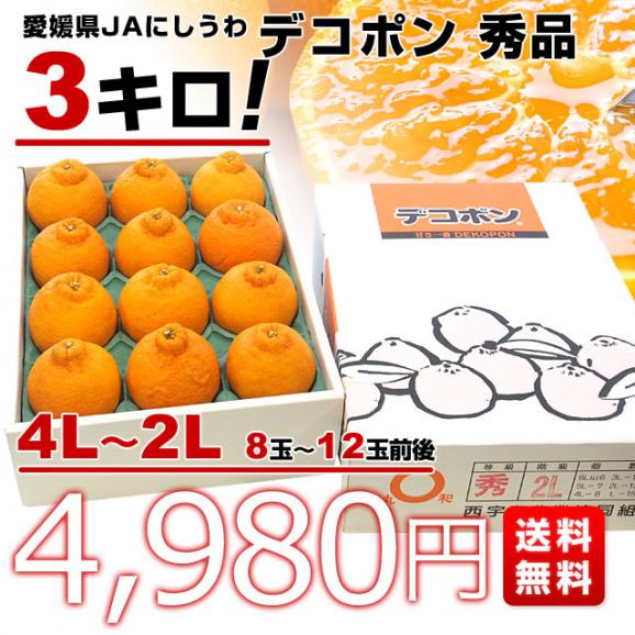 JAにしうわ デコポン 秀品 4Lから2Lサイズ 3キロ（8玉から12玉前後）でこぽん 柑橘 オレンジ 西宇和 八幡浜 市場発送03