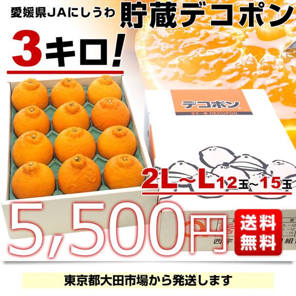 愛媛県直 JAにしうわ 貯蔵デコポン  2LからLサイズ 3キロ（12玉から15玉前後）送料無料 でこぽん 柑橘 オレンジ 西宇和03