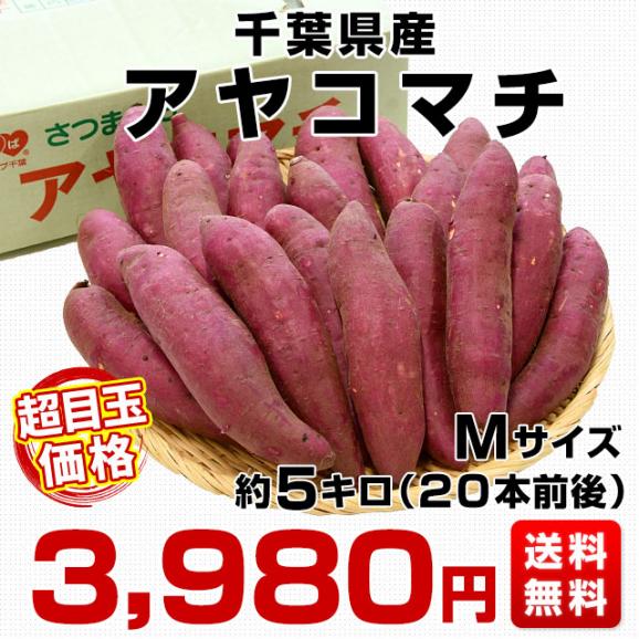 千葉県産　JAかとり　アヤコマチ　Mサイズ5キロ　20本前後　送料無料　さつまいも　サツマイモ　薩摩芋　にんじん芋　オレンジ芋　野菜　市場発送03