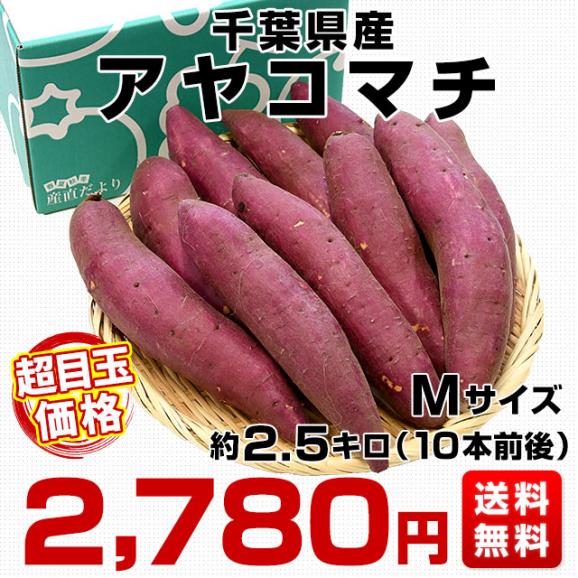 千葉県産　JAかとり　アヤコマチ　Mサイズ2.5キロ　10本前後　送料無料　さつまいも　サツマイモ　薩摩芋　にんじん芋　オレンジ芋　野菜　市場発送03