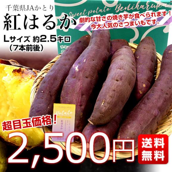 千葉県産 JAかとり 紅はるか Lサイズ 約2.5キロ 7本前後 送料無料 さつまいも サツマイモ 薩摩芋 新芋 市場発送03