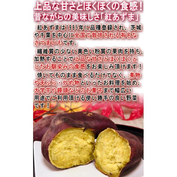 紅はるか・紅あずま・紅ゆうか 約5kg さつまいも 千葉県・茨城県産 訳あり品 濃厚な味と栄養豊富な旬の野菜！甘み溢れる薩摩芋をお届け03