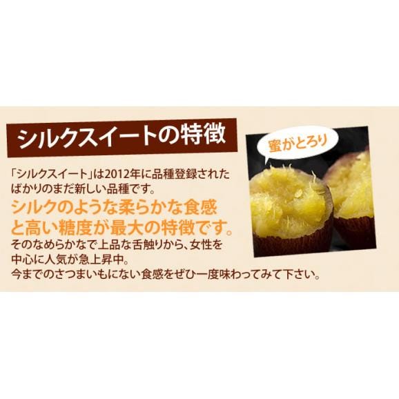 シルクスイート 訳あり 5kg 箱込 内容量4kg+補償分500g 送料無料 生芋 さつまいも 熊本県産 べにはるか サツマイモ 焼き芋に 芋 いも03