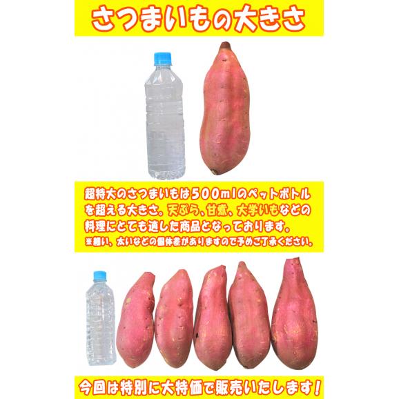紅はるか 特大さつまいも 約10kg L～3Lサイズ 千葉県・茨城県産 お得用 家庭用限定 産地箱入り しっとり系の濃厚な甘さの紅はるか！03