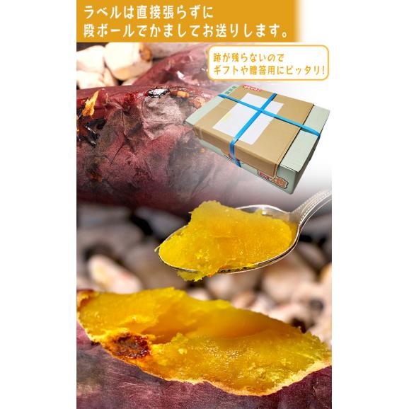 【秀品】紅はるか 約5kg 千葉県・茨城県産 ダントツの甘さを誇る紅はるか！ ギフトや贈答品にもオススメな見栄えの良い薩摩芋をお届け！ さつまいも 03