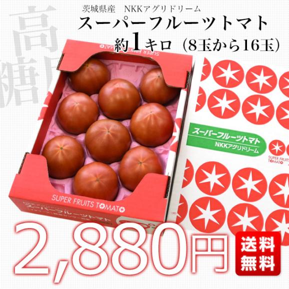 茨城県より産地直送 NKKアグリドリーム スーパーフルーツトマト 9度＋ A品 約1キロ（8玉から16玉）  送料無料 高糖度トマト NKKトマト03