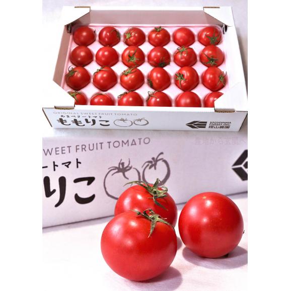ももりこトマト 特選 約1kg 15～24玉 徳島県産 樫山農園 糖度8度以上保証のブランド野菜！こだわり栽培で甘さと旨味たっぷりのフルーツトマト！03