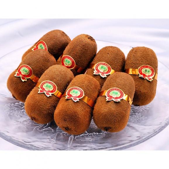 『香緑（こうりょく）』香川県産キウイフルーツ　スイート16　3～5L　約1.4kg (8～10玉) ※常温　送料無料03
