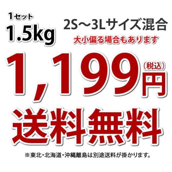 さつまいも 紅はるか 訳あり 1.5kg 送料無料 2セット購入で1セットおまけ 3セット購入で3セットおまけ お取り寄せ べにはるか 熊本・宮崎県産 サツマイモ 紅蜜芋 焼き芋 芋 いも03