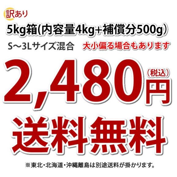 さつまいも 紅はるか 訳あり  5kg 箱込（内容量4kg＋補償分500g) 送料無料 熊本・宮崎県産 サツマイモ 紅蜜芋 焼き芋 芋 いも03