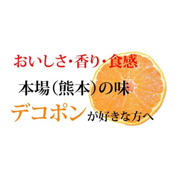 デコポン 同品種 訳ありデコみかん 5kg 箱込 (内容量4kg+補償分500g) 送料無料 熊本県産 フルーツ お取り寄せ みかん ミカン 蜜柑 不知火03