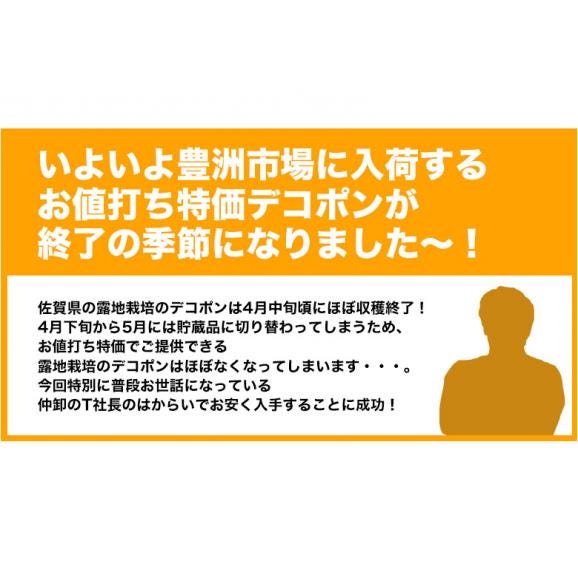 佐賀県産 デコポン 秀品 18～24玉　風袋込約５kg 送料無料04