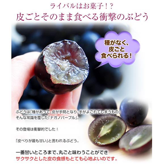 『ナガノパープル』 2房 合計約800g 長野県産 ぶどう 簡易箱 ※冷蔵 送料無料04