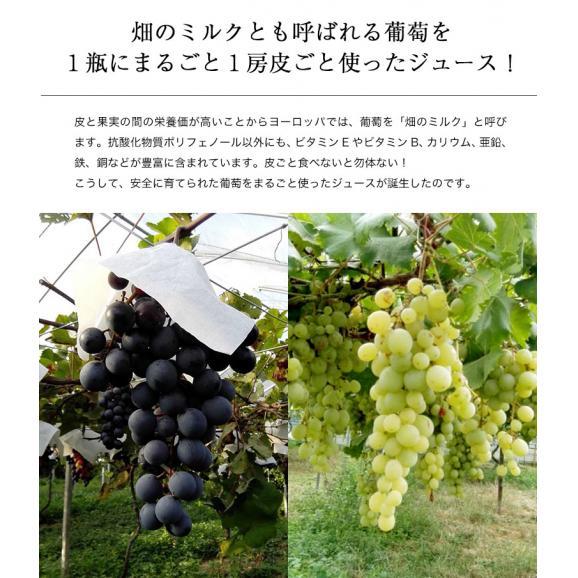 平岩農園 『種ありぶどうだけで作る6種のぶどうジュース』 180ml瓶×6本 ※常温　送料無料03