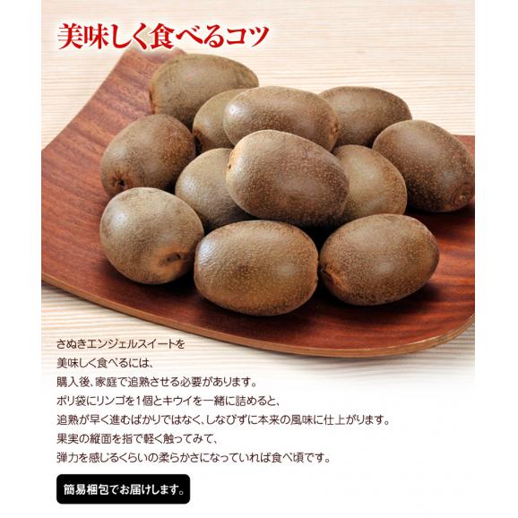キウイ 送料無料 香川産 さぬきエンジェルスイート 2S 28玉 約1.6kg　※簡易梱包 送料無料04