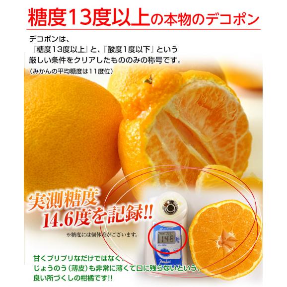 訳あり品 長崎県産　デコポン 約2kg（目安として8～12玉程度）送料無料 ≪2箱購入で1箱分増量、3箱購入で2箱分増量≫　常温04