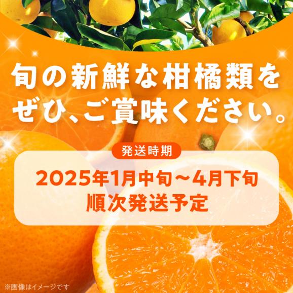 AB7204_（先行予約）（旬の美味）（みかん名産地和歌山有田）有田育ちの旬の ご家庭　旬の柑橘 詰め合わせセット 4.5kg（訳あり）04