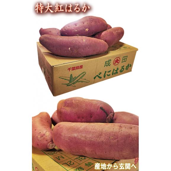 紅はるか 特大さつまいも 約10kg L～3Lサイズ 千葉県・茨城県産 お得用 家庭用限定 産地箱入り しっとり系の濃厚な甘さの紅はるか！04