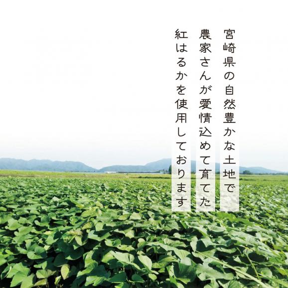 期間限定SALE！【斧のチップス】やみつきおさつチップス〈50g×3袋〉04