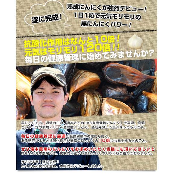 北海道より産地直送 滝本農場 手作り 熟成黒にんにく (割れ品) 320g（80g×４パック）  送料無料 黒ニンニク 大蒜 赤井川村 たきもと04