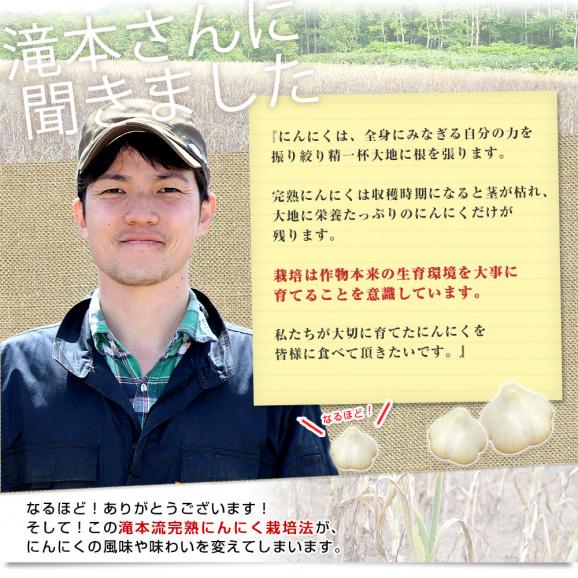 北海道から産地直送 赤井川村 滝本さんの有機JAS完熟にんにく　どっさり1kg分（25玉前後）送料無料 にんにく ニンニク 大蒜04