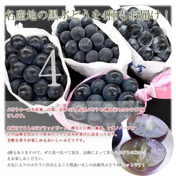山梨県産・長野県産 黒ぶどう4種セット 約1.8キロ（ブラックビート、巨峰、藤稔、ナガノパープル×各種1房）送料無料 ぶどう ブドウ 葡萄 市場発送 クール便04