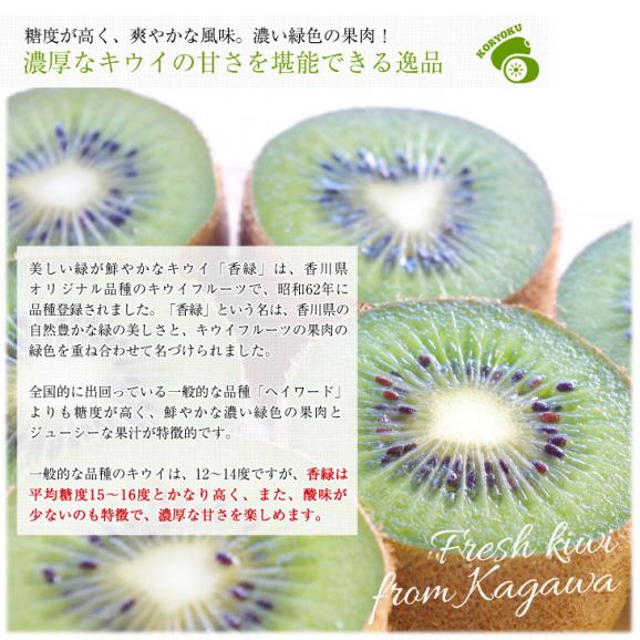 香川県より産地直送 JA香川県 キウイフルーツ 香緑(こうりょく) 　訳あり品　約3キロ　(15から30玉前後) 送料無料04
