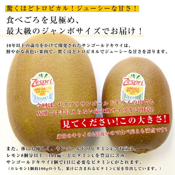ニュージーランド産 ゼスプリキウイフルーツ サンゴールドキウイ ジャンボ ３キロ (18玉入り) 送料無料04