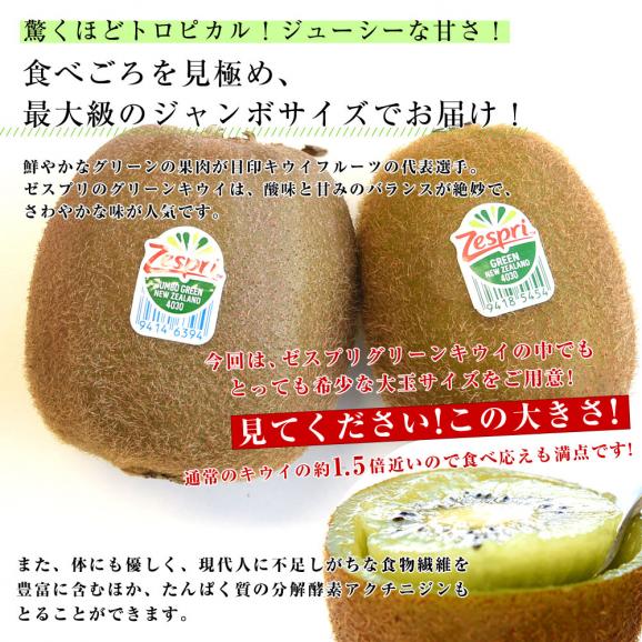 ニュージーランド産 ゼスプリ・グリーンキウイ「ジャンボサイズ」 約1.8キロ（合計10玉から14玉） 送料無料　キウイフルーツ04