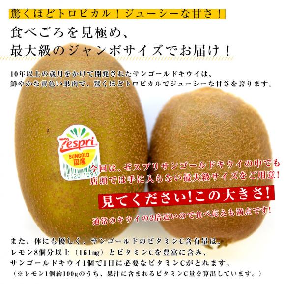 国産 ゼスプリ・キウイフルーツ サンゴールドキウイ ジャンボ 15玉入り化粧箱 (3キロ前後) 送料無料 市場発送04