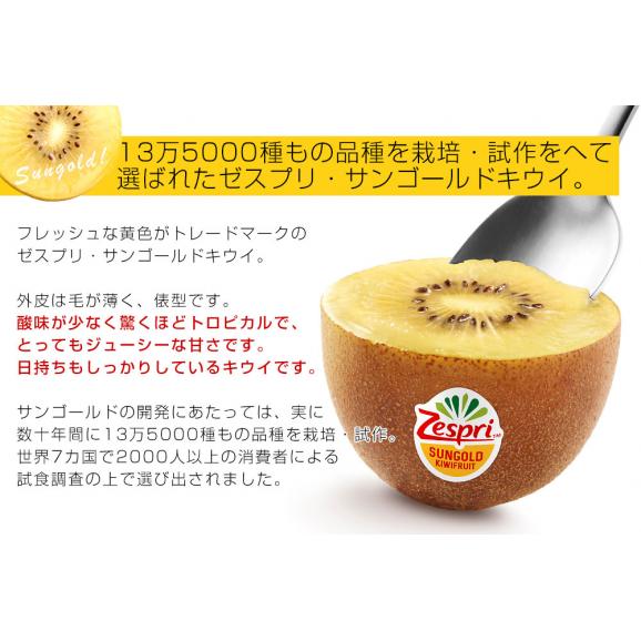 ニュージーランド産 ゼスプリ・サンゴールドキウイ 3キロ 送料無料 クール便 キウイフルーツ ゴールドキウイ 完熟キウイ04