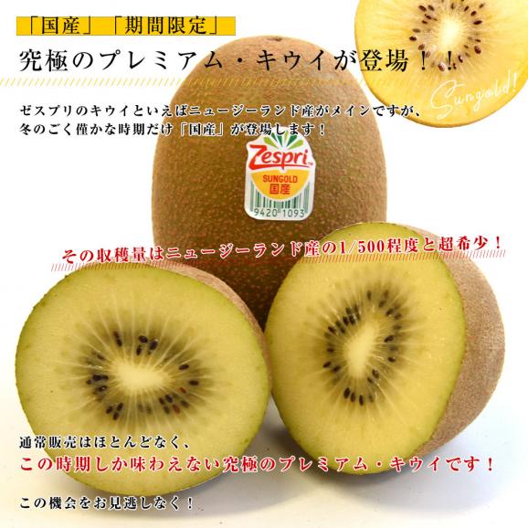 国産 ゼスプリ・サンゴールドキウイ約1.8キロ（合計14玉から20玉）※ゼスプリ キウイマグネット付き 送料無料　キウイフルーツ04