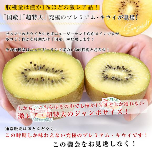 国産 ゼスプリ・サンゴールドキウイ「ジャンボサイズ」 約5キロ（26玉入り）　送料無料　キウイフルーツ04