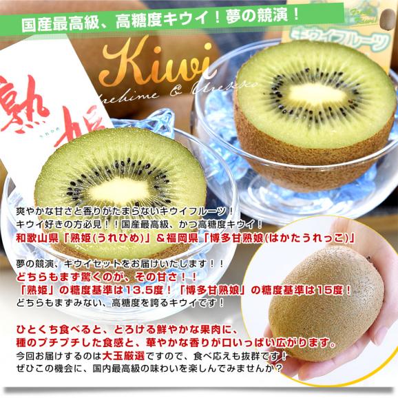 【キウイセット】和歌山県 JA紀の里「熟姫(うれひめ)」+福岡県 JAふくおか八女「博多甘熟娘(はかたうれっこ)」合計約1.8キロ（10玉から12玉）送料無料 市場発送 04