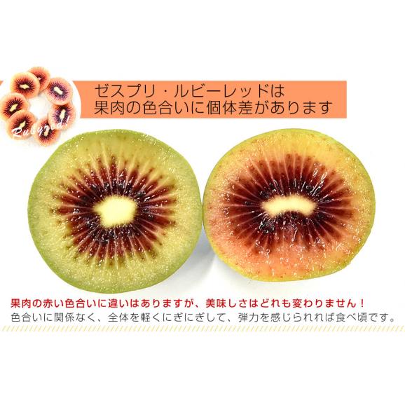 ニュージーランド産 ゼスプリ・ルビーレッド 新品種のキウイフルーツ 小玉約1.8キロ（900g×2袋）合計20玉から26玉前後 送料無料　キウイフルーツ04