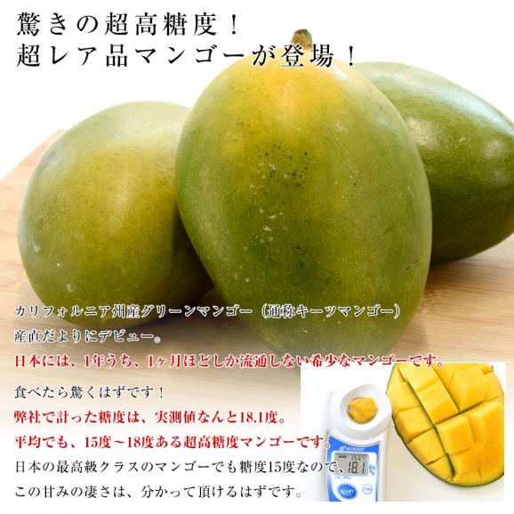 カリフォルニア　グリーンマンゴー（キーツマンゴー）大玉厳選２L　5.5キロ（12玉入）送料無料 クール便 マンゴー キーツマンゴー トロピカルフルーツ04