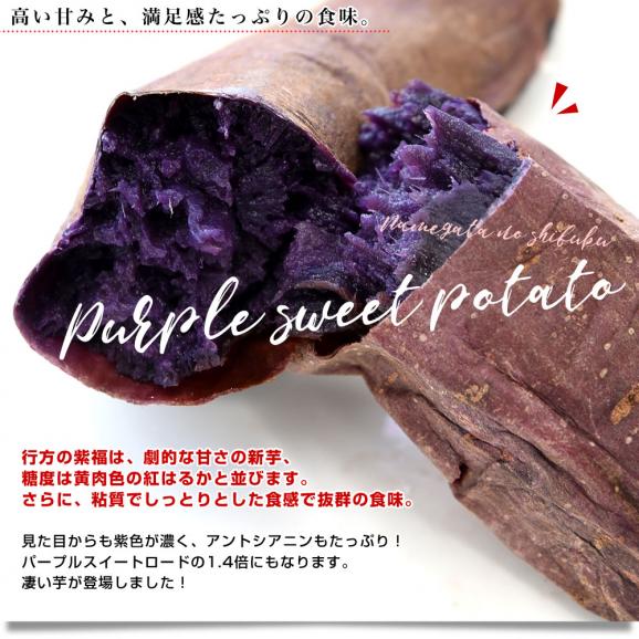 茨城県より産地直送 JAなめがたしおさい 行方の紫福（なめがたのしふく）品種名：ふくむらさき Mサイズ 約5キロ（18本前後） 送料無料 さつま芋 さつまいも サツマイモ 薩摩芋 紫芋 むらさき芋04