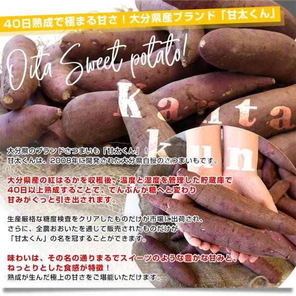 大分県産 JAおおいた 甘太くん Mサイズ 約2.5キロ（14本前後）送料無料 かんたくん サツマイモ 薩摩芋 甘藷 かんしょ 紅はるか べにはるか04