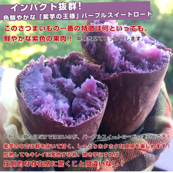 千葉県産　JAかとり　パープルスイートロード（千葉むらさき）　Mサイズ2.5キロ　10本前後　送料無料　さつまいも　サツマイモ　薩摩芋　野菜　市場発送04