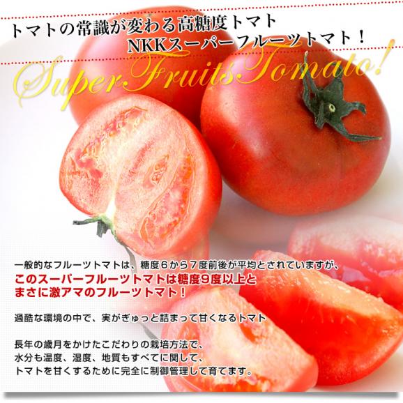 茨城県より産地直送 NKKアグリドリーム スーパーフルーツトマト 9度＋ A品 約1キロ（8玉から16玉）  送料無料 高糖度トマト NKKトマト04